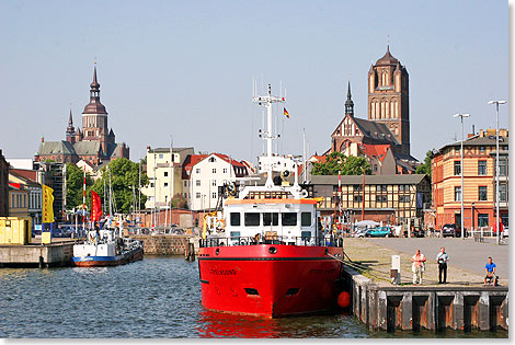 Foto: Dr. Peer Schmidt-Walther, Stralsund