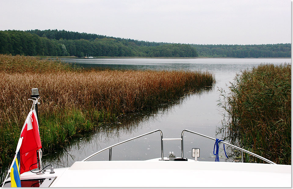 Foto: Dr. Peer Schmidt-Walther, Stralsund