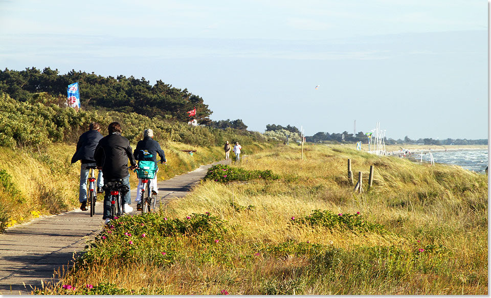 Deichfahrt am Weststrand von Hiddensee zwischen Kloster und Vitte