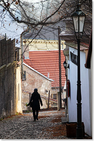 Foto: Dr. Peer Schmidt-Walther, Stralsund