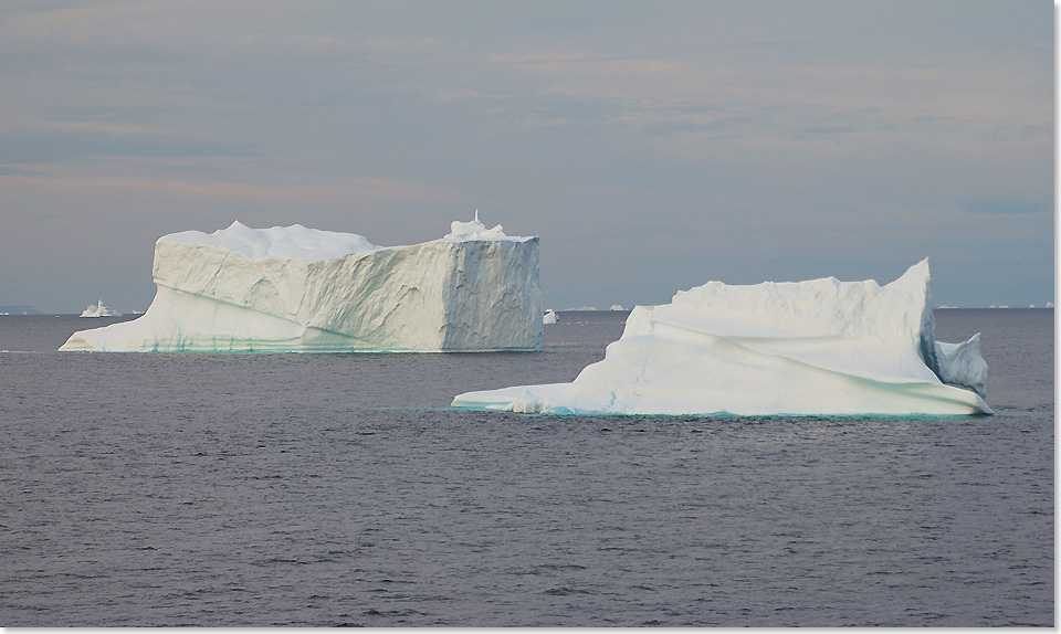 Kapitn Jan Georg Thommessen steuerte die ARTANIA oft sehr nah an das Eis heran. Stundenlang kreuzte er zwischen den Eisbergen, zur Freude seiner Passagiere