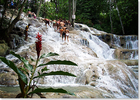 Foto: Carsten Heinke, Leipzig Feucht-fröhliche Kletter-Rutsch-Tour über die
Kalksteinfelsen der Dunn’s River Wasserfälle bei Ocho Rios
