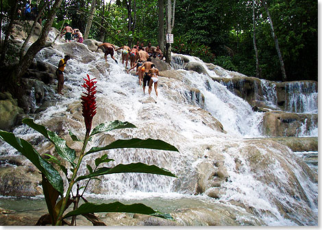 Feucht-frhliche Kletter-Rutsch-Tour ber die 
			Kalksteinfelsen der Dunns River Wasserflle bei Ocho Rios