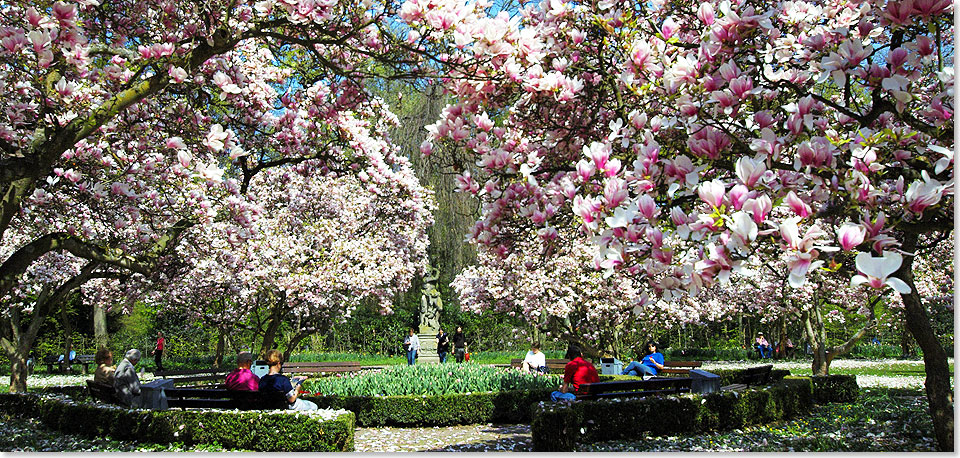 Am 1. Mrz ist der 
					meteorologische und am 20. Mrz ist der 
					kalendarische Frhlingsanfang  zur Tag- und Nacht-Gleiche  und bald werden berall die Magnolien 
					in voller Pracht erblhen