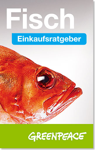 Fischratgeber Greenpeace