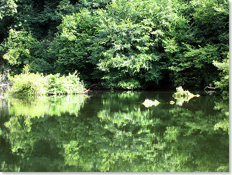 Auf der anderen Seite des Flusses, hinter dem Baumstamm, ist der Eingang der 
	Hhle Ressel II / Le Cunhac