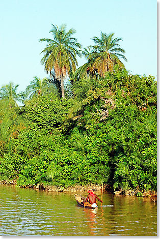 Der Gambia-Fluss ist Lebensraum und Transportweg