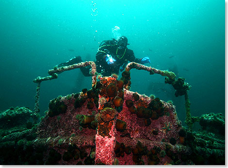 Foto: Dr. Séverine Bär, Heidelberg Ein Taucher schaut vom Bug der PLM27 ins blaue Wasser vor Neufundland.