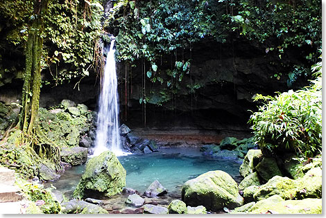 Der Emerald Pool im Regenwald Dominicas ...
