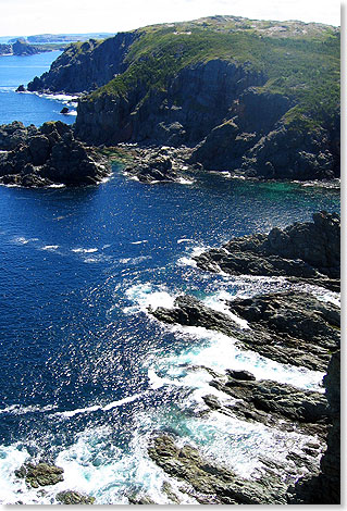 An der rauhen Kste vor Twillingate, hier von den Klippen aus gesehen, schwimmen auch Wale vorbei. 