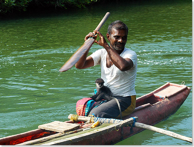 Ein srilankischer Mann verleiht ein Affenbaby als Fotoobjekt an Touristen auf dem Maduganga-Fluss.