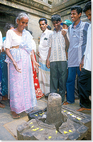 Frhlicher Phalluskult in einem alten Shiva-Tempel in Polonnaruwa.