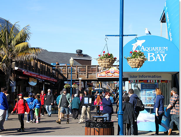 Buntes Leben und Treiben auf Pier 39.