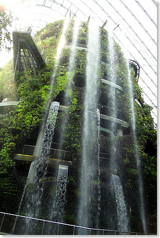 Gleich am Eingang in die immergrüne Welt der feuchten Tropenwälder wird der Besucher von einem Wasserfall empfangen.