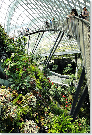 FIn mehreren Etagen knnen Besucher der Gardens by the Bay die beiden Gewchshuser erkunden.