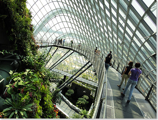 Das Innere des Gewchshauses Cloud Forest (Wolkenwald) wird von einem 35 Meter hohen, begehbaren Berg beherrscht.