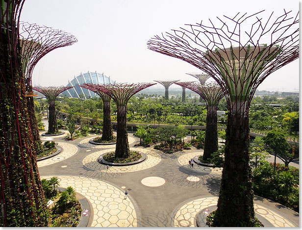 Geprgt wird die Silhouette der Gardens by the Bay neben den Supertrees durch zwei riesige, nachts beleuchtete Gewchshuser, deren Konturen an das Auenskelett urzeitlicher Meerestiere erinnert