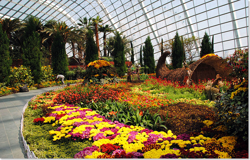 Blick auf ein Blumenbeet im Flower Dome. Drauen im Hintergrund: der Singapore Flyer, mit einer Hhe von 165 Metern das grte Riesenrad der Welt.
