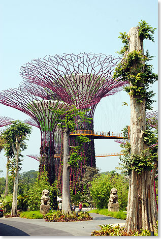 Unter gigantischen Kunstbumen der Gardens by the Bay, den Supertrees, sind die Schornsteine der Khlanlagen fr die Gewchshuser versteckt.