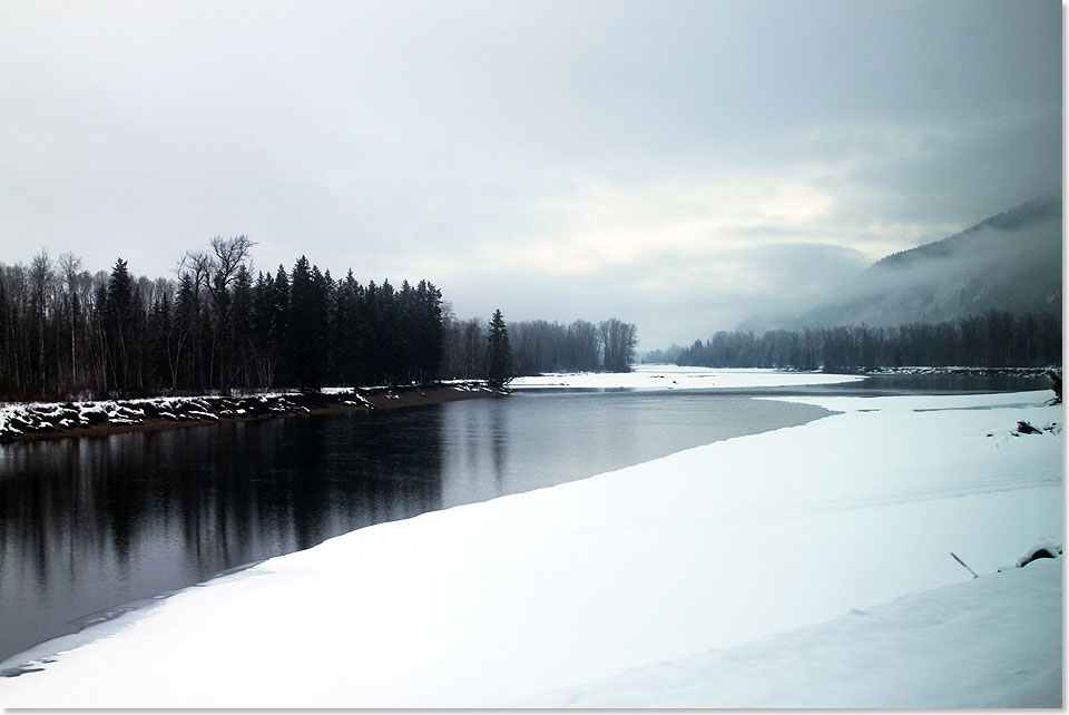 Dichter 
	Wald an der Strecke Vancouver-Kamloops, die sich Kilometer um Kilometer am 
	North Thompson River entlang schlngelt