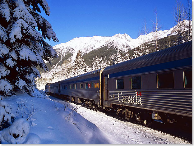 THE 
			CANADIAN rauscht durch den-Rocky Mountains-Wald