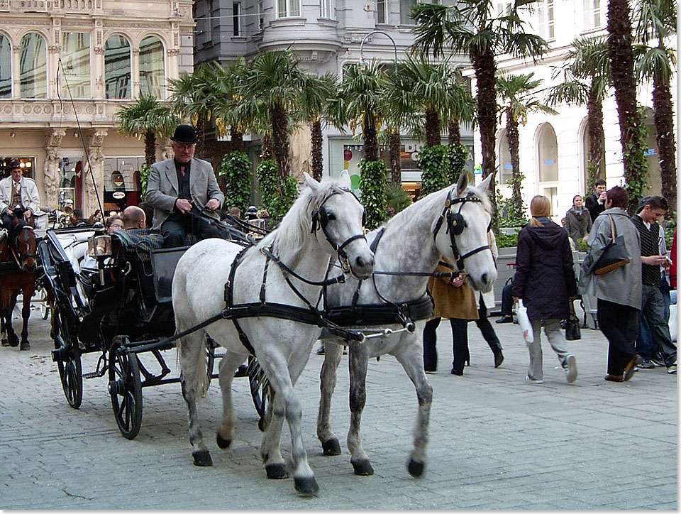 Traditionelle	Fiaker-Kutschfahrt durch das historische Wien