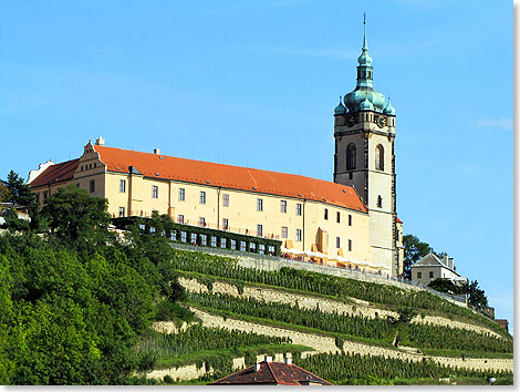 Das Schloss Melnik ist umgeben von Weinreben