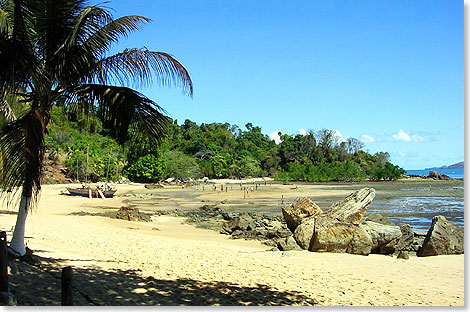 Nosy Komba in Madagaskar bietet nicht nur wunderbare Strnde, sondern wird auch die Lemureninsel genannt. Die Insel gegenber der Lokobehalbinsel besteht aus einem kreisrunden 621 Meter hohen Vulkan, der fast vollstndig von Wald und Plantagen bedeckt ist. Hier befindet sich ein Lemuren-Reservat.