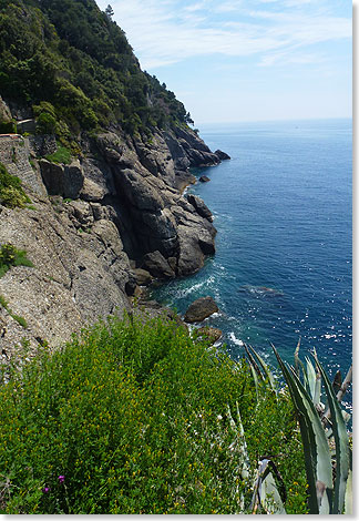  Rund um Portofino kann man durch den Wald wandern
und von verschiedenen Aussichtspunkten aus den