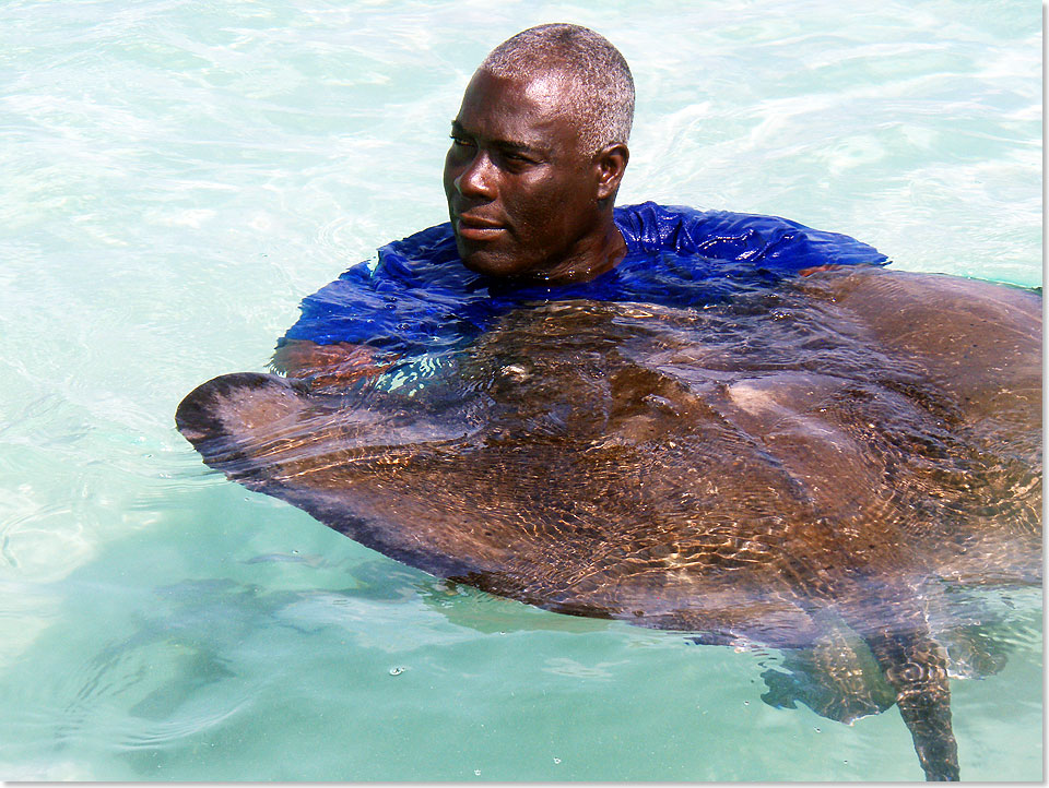 Stingray-City ist keine Stadt, eigentlich nicht mal ein Ort. Eher eine Idee, und zwar eine recht erfolgreiche. Denn fast jeder, der nach Antigua und Barbuda kommt, will mit den Rochen schwimmen. Und genau das kann man in Stingray-City im Nordosten der Insel, nahe Seatons Village.