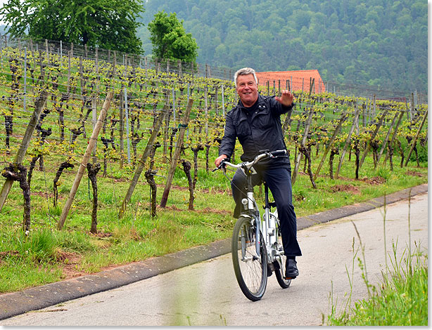 mit dem E-Bike in den Miltenberger Weinbergen