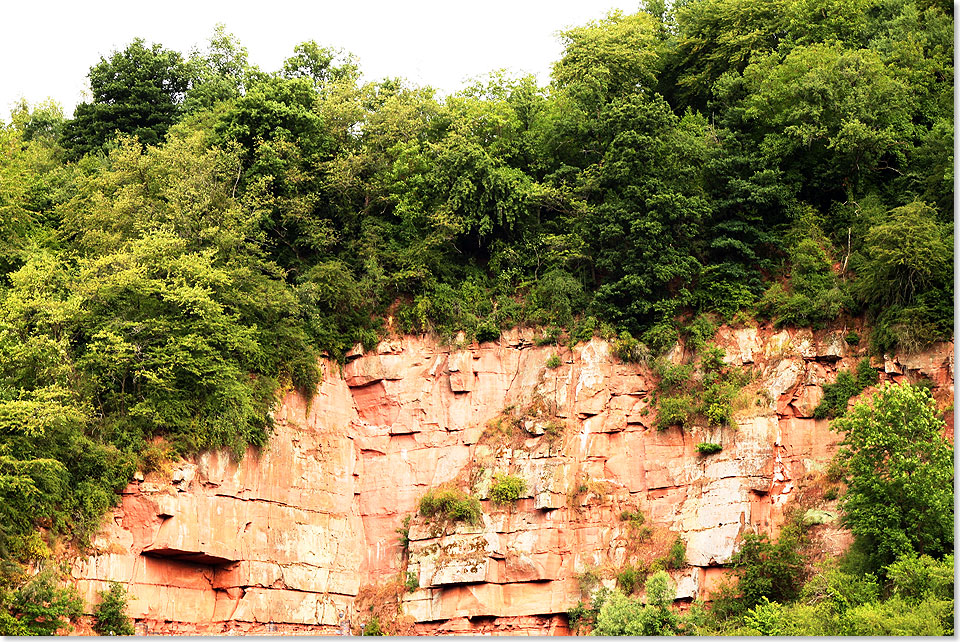 Dieser 
	rote Buntsandstein aus den Steinbrchen im Raum Miltenberg und Obernburg am 
	Main wurden fr viele schne Bauten in der Region verwendet