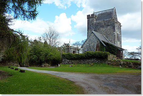 Craggaunowen in der Grafschaft Clare. Im Schatten des Wehrturms zeigt ein Themenpark Irlands prhistorische Vergangenheit.
