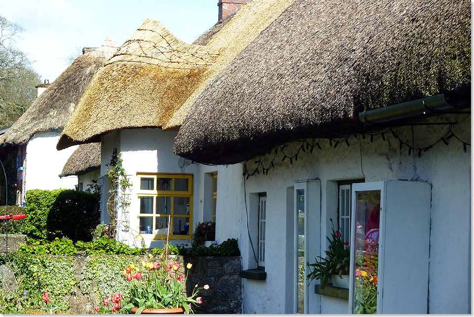  In Adare, dem schnsten Dorf Irlands, sind die schnsten Huser mit Reet gedeckt.