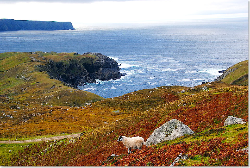  An der Atlantikkste der Donegal Bay im Nordwesten Irlands wird die heilende und belebende Kraft der Algen schon seit Jahrhunderten genutzt.
Im Bild die Kste bei Glencolmcille nahe Slieve League.