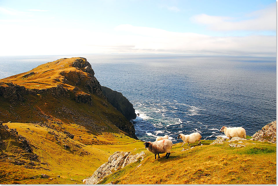  Die Kste von Slieve League, der mit 601 Metern hchsten Steilkste Irlands.