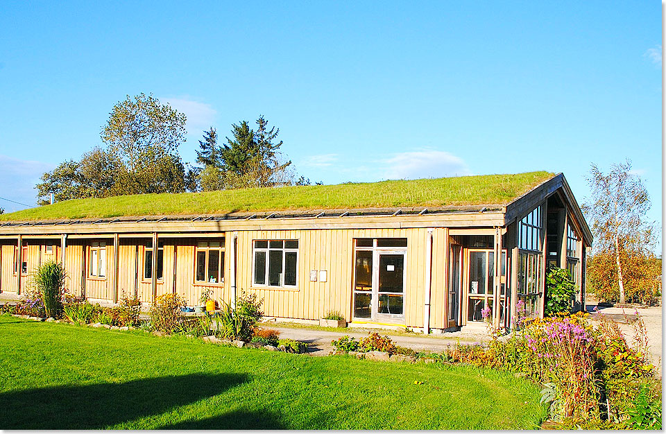 In The Organic Centre von Rossinver, Co. Leitrim, kann man lernen, wie man mit Seetang kocht oder daraus leckere Snacks und Drinks herstellt. 