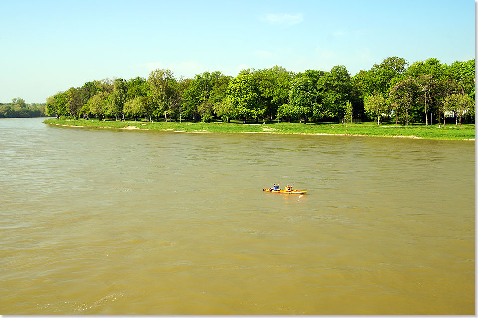 Die Rheinauen bei Mannheim bei mittlerem Hochwasser