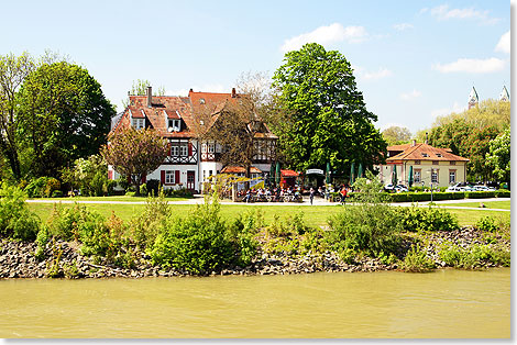 Speyer: Ausflugslokale am Anleger mit Biergarten und Dom im Hintergrund