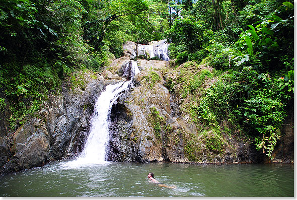 Ein 
	halbes Dutzend malerischer Wasserflle mit erfrischenden Badeteichen gibt es 
	in Tobagos Regenwldern.