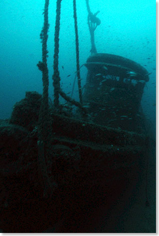 Die SALLY, ein kleiner Schlepper, steht aufrecht auf dem Sandgrund und erinnert irgendwie an ein Geisterschiff