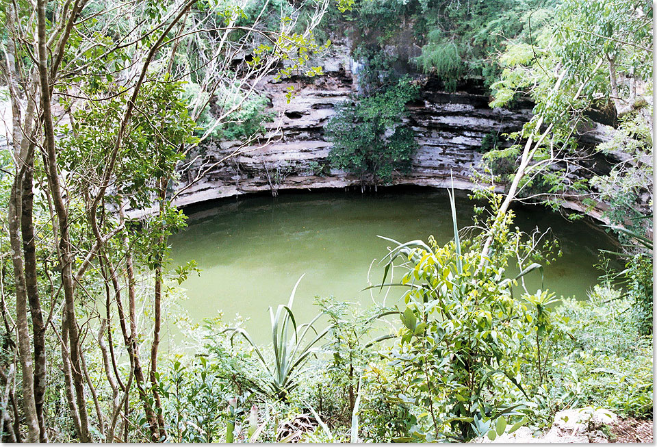 Cenote in Chichen Itza, neben zahlreichen Opfergaben barg man vom Grund dieses Cenotes ber fnfzig Skelette. Die Maya nutzten die Cenotes als Brunnen, sie

dienten damit der Wasserversorgung, die in nahezu allen anderen Hochkulturen durch groe oberirdische Flsse erfolgte, wie Nil, Euphrat, Indus oder Ganges.

Deswegen bezeichnen einige Forscher das Hhlensystem auch als groen Strom der Maya.
