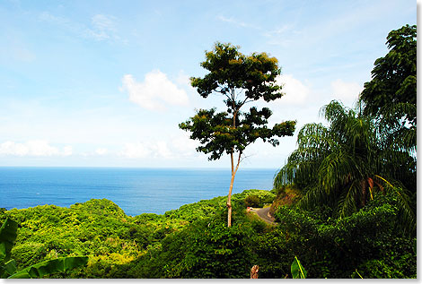 Blick auf die Sdwestkste Tobagos vom hoch gelegenen Dorf Black Rock. Hinter den vom Regenwald berwucherten Hngen liegen die Great Courland Bay und das vier Kilometer lange Turtle Beach  ein wichtiger Brutplatz der Lederschildkrte.