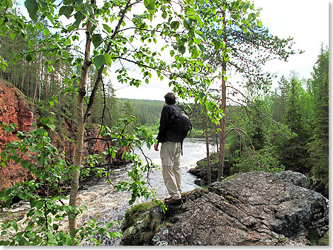 Der Oulanka Nationalpark besteht seit 1956 und dehnt sich hufeisenfrmg bis zur russischen Grenze aus. Zu seinen Bewohnern gehren Elche, Bren, Wlfe ...