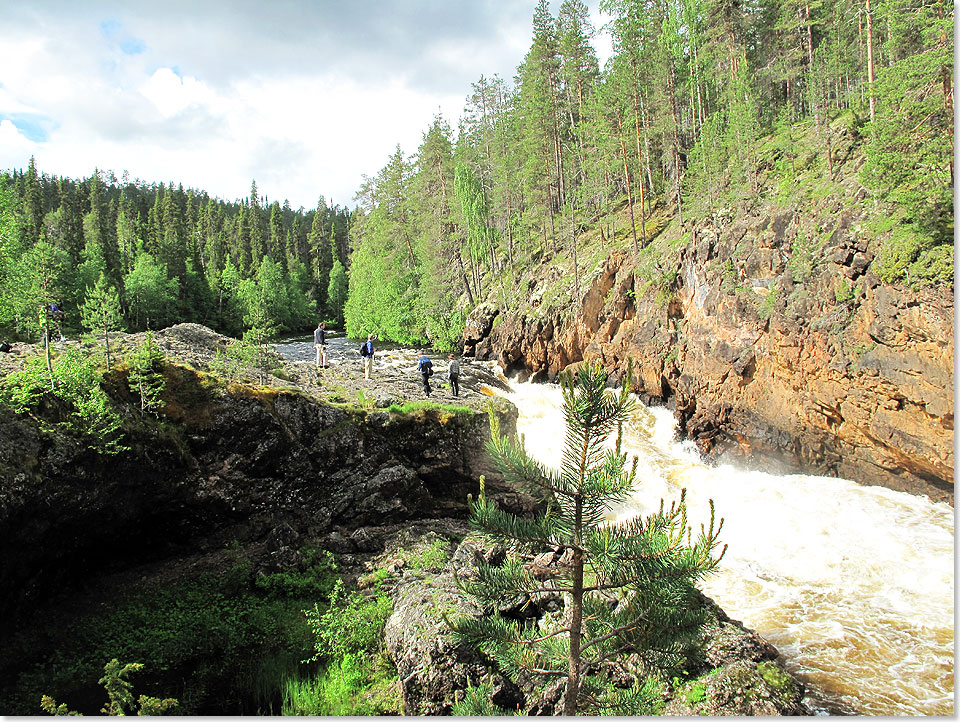 Die Stromschnellen in der Kiutakngs-Schlucht sind eine der Hauptattraktionen im Oulanka Nationalpark.