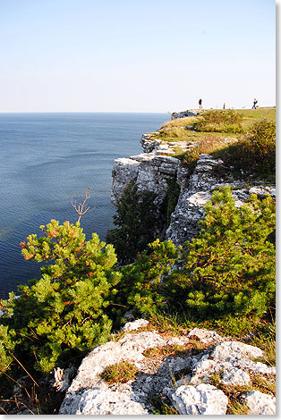 Das bis zu 46 Meter steil aus der Ostsee aufragende Gebirge aus Riffkalkstein und Mergelschiefer ist reich an Fossilien, die vor Jahrmillionen in einem tropisch warmen Urzeitmeer entstanden.