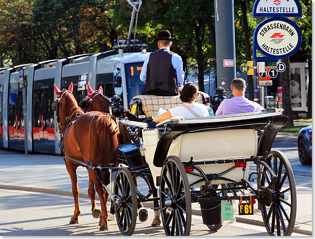  In vielen Liedern spielen die Fiaker von Wien eine Rolle. Heute stellen sie eine beliebte Touristenattraktion dar und bieten von mehreren Standpltzen aus meist Rundfahrten im Bereich der Wiener Altstadt an.