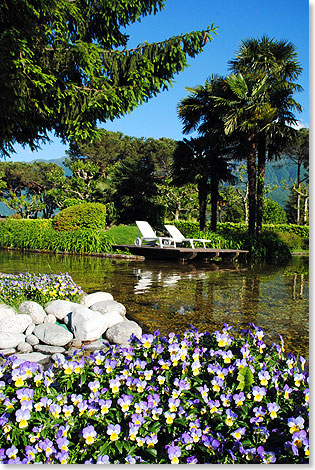 Das milde Klima des Tessins beschert dem Garten des Delta Ascona 
			reichlich Grn und Blten.