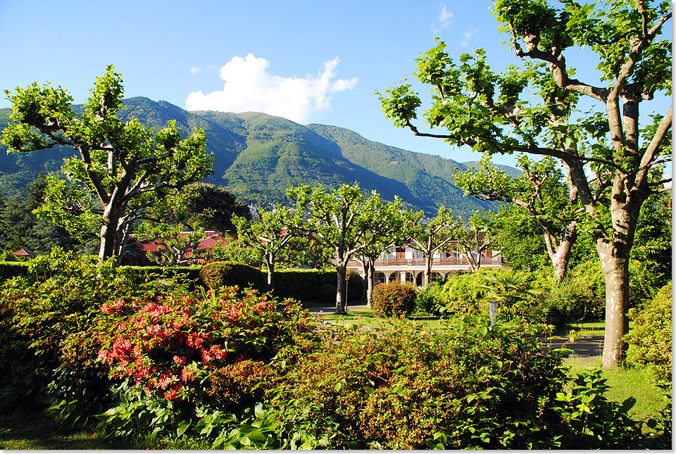 Diese 
	  herrliche Anlage  80.000 Quadratmeter Grnflche zwischen See und Bergen 
	   gehrt zum Parkhotel 
	  Delta Ascona.