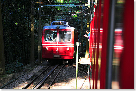 Gegenverkehr an der Zahnradbahn durch den Tijuca-Park zum Corcovado.